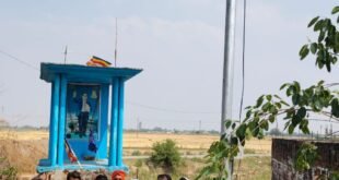 चन्दौली/चकिया-: बसपा जिलाध्यक्ष के पहल से दलित बस्ती भी हाईमास्क लाईट से हुई जगमग।