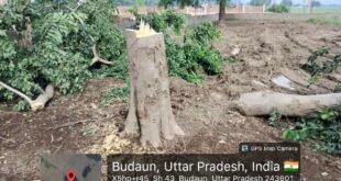 बदायूं: श्मशान भूमि पर ‘सरकारी’ डाका, बिना परमिशन काट डाले हरे-भरे पेड़, जेई-एसडीओ के खिलाफ मुख्यमंत्री से शिकायत।