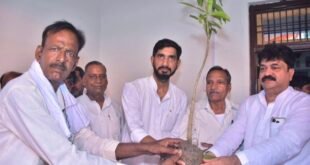 टुंगसैय्या में भव्य वृक्षारोपण कार्यक्रम: सांसद आदित्य यादव और पूर्व मंत्री आबिद रजा ने बांटे हजारों फलदार पौधे।