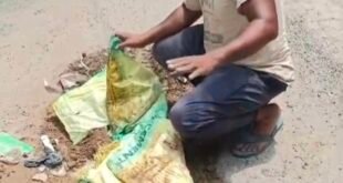 गंजडुंडवारा: सड़क के गहरे गड्ढों से परेशान स्थानीय लोगों ने खुद संभाली जिम्मेदारी। 