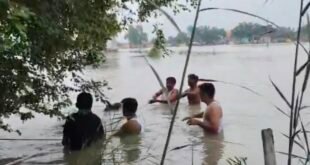 कासगंज। लहरा गंगा घाट पर पानी और झाड़ियों के बीच फंसी गाय, पुलिसकर्मियों ने अपनी जान जोखिम में डालकर बचाया।