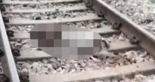 गंजडुंडवारा: ट्रेन की चपेट में आने से डेढ़ दर्जन बकरियों की दर्दनाक मौत, पशुपालकों की आजीविका पर संकट।