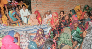 उझानी में बंदरों के हमले से दर्दनाक हादसा, छत से गिरे बुजुर्ग की मौत।