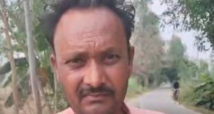 खेत से काटे गए दो लाख के यूकेलिप्टस, 50 हजार में बेचने का आरोप; पुलिस की कार्यप्रणाली पर उठाए सवाल।
